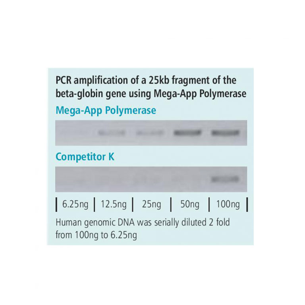 Picture of Mega-App Polymerase, 250 units